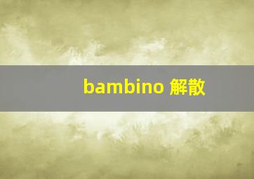 bambino 解散